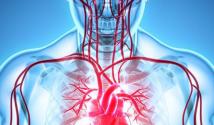 Признаки ишемической болезни сердца (ИБС): симптомы и лечение
